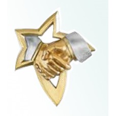 Aplique Estrela Dourada Fair-Play